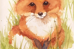 Little Red, Fox