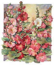 Alley Flowers Alley Flowers