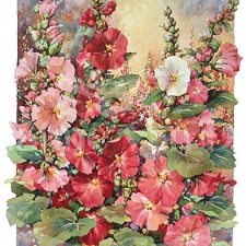 Alley Flowers Alley Flowers