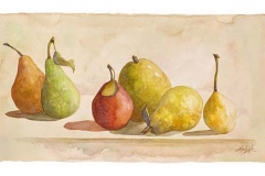 Pears Of Other Trees