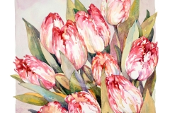 Tulips