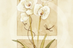 White Orchids