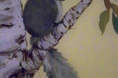 Detail Of Birch Tree